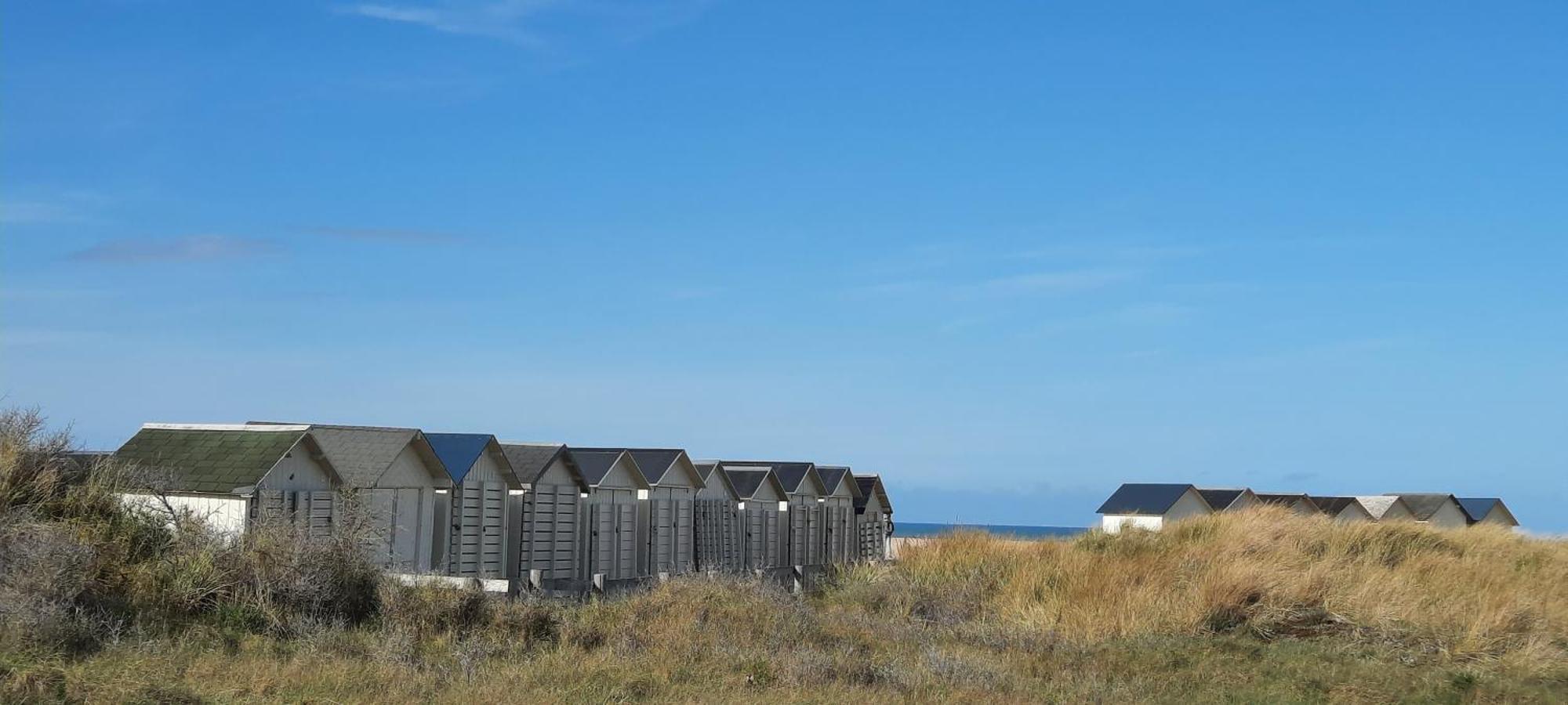 La Petite Taupe - Chambres D'Hotes Saint-Omer  Екстериор снимка